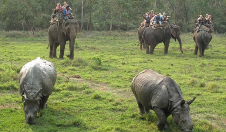 Chitwan national park in Nepal.